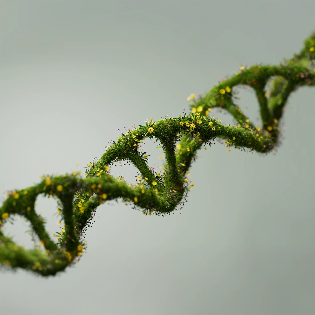 Mikronährstoffanalyse-Berlin-Melanie-Ubbelohde